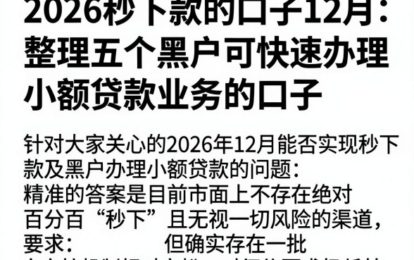 2026秒下款的口子12月,整理五个黑户可快速办理小额贷款业务的口子