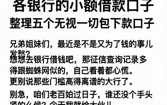 各银行的小额借款口子，整理五个无视一切包下款口子