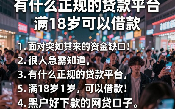 有什么正规的贷款平台满18岁可以借款，胪列五个黑户好下款的网贷口子