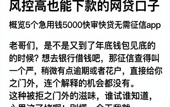 风控高也能下款的网贷口子，概览5个急用钱5000快审快贷无需征信app