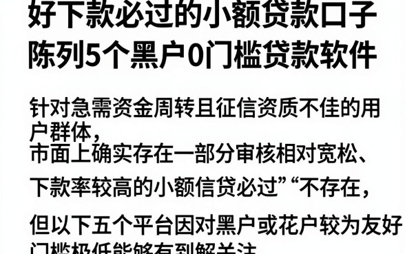 好下款必过的小额贷款口子,陈列5个黑户0门槛贷款软件
