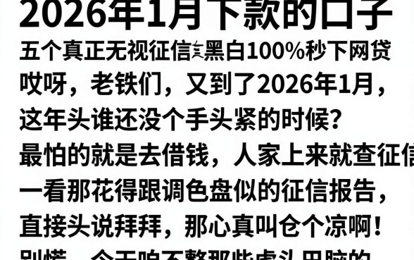 2026年1月下款的口子,归纳五个真正无视征信黑白100%秒下网贷