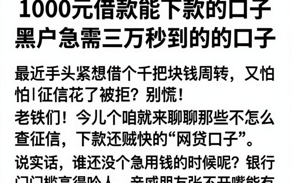 1000元借款能下款的口子,整合五个黑户急需三万秒到的的口子