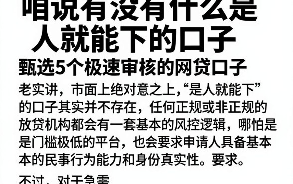 咱说有没有什么是人就能下的口子，甄选5个极速审核的网贷口子