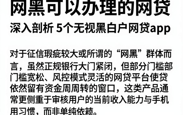网黑可以办理的网贷,深入剖析5个无视黑白户网贷app