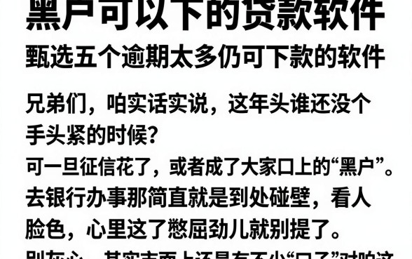 黑户可以下的贷款软件,甄选五个逾期太多仍可下款的软件