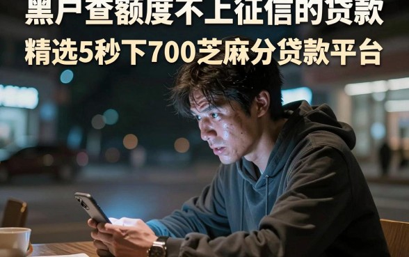 黑户查额度不上征信的贷款,精选5个秒下700芝麻分贷款平台