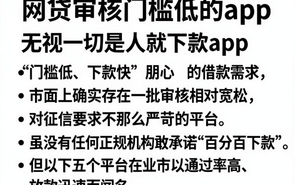 网贷审核门槛低的app,条列5个无视一切是人就下款app