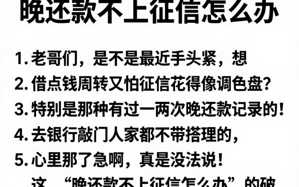 晚还款不上征信怎么办,理出五个能百分百通过的网贷口子