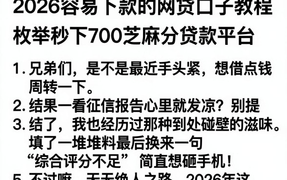 2026容易下款的网贷口子教程，枚举5个秒下700芝麻分贷款平台