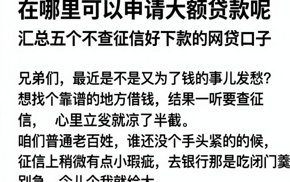 在哪里可以申请大额贷款呢，汇总五个不查征信好下款的网贷口子