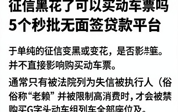 征信黑花了可以买动车票吗，深入剖析5个秒批无面签贷款平台