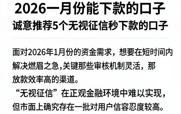 2026一月份能下款的口子，诚意推荐5个无视征信秒下款的口子