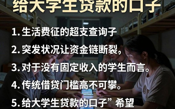 给大学生贷款的口子，条列5个不看征信查询的口子