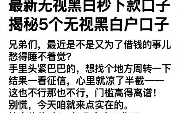 最新无视黑白秒下款口子，揭秘5个无视黑白户口子