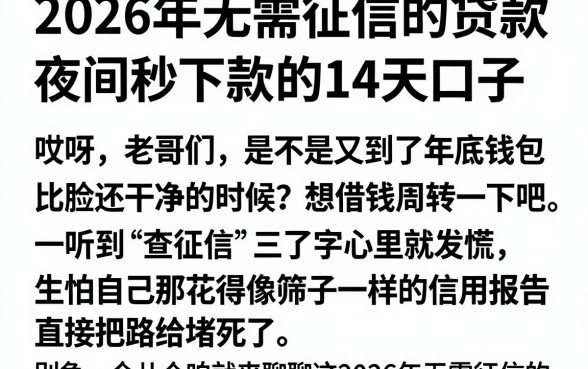 2026年无需征信的贷款,归纳5个夜间秒下款的14天口子