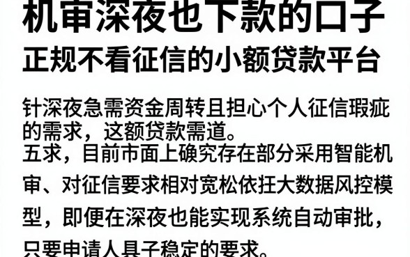 机审深夜也下款的口子，深入剖析五个正规不看征信的小额贷款平台