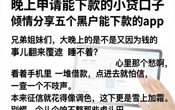 晚上申请能下款的小贷口子,倾情分享五个黑户能下款的app
