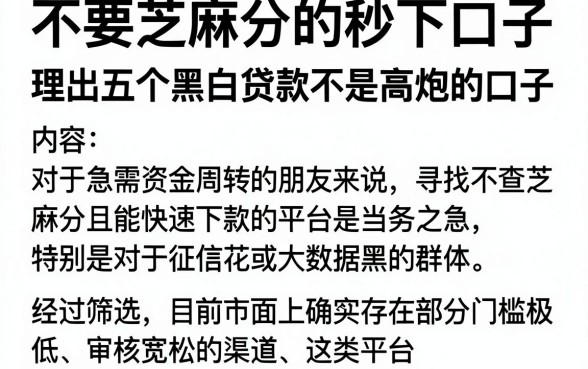 不要芝麻分的秒下口子，理出五个黑白贷款不是高炮的口子