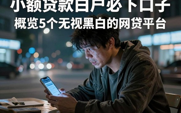 小额贷款白户必下口子,概览5个无视黑白的网贷平台