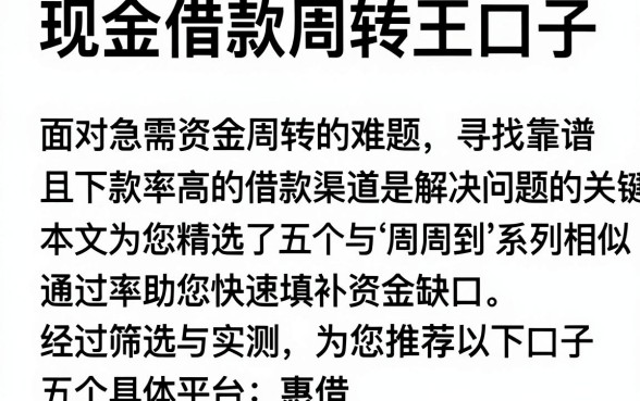 现金借款周转王口子，概览五个周周到贷款相同系列的口子