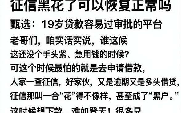 征信黑花了可以恢复正常吗，甄选五个19岁贷款容易过审批的平台