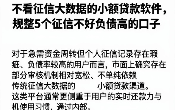 不看征信大数据的小额贷款软件，规整5个征信不好负债高的口子