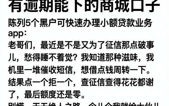 有逾期能下的商城口子，陈列5个黑户可快速办理小额贷款业务的app
