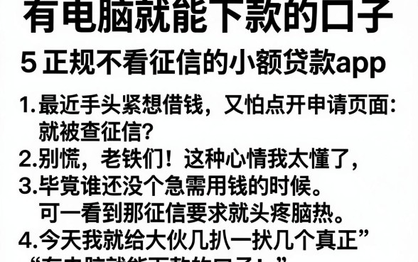有电脑就能下款的口子，概括5个正规不看征信的小额贷款app