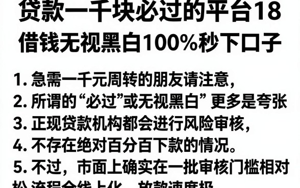 贷款一千块必过的平台18，概括5个借钱无视黑白100%秒下口子