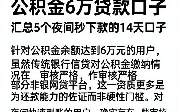 公积金6万贷款口子，汇总5个夜间秒下款的14天口子