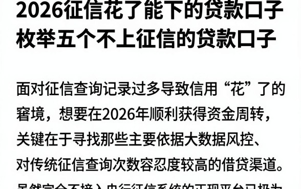2026征信花了能下的贷款口子，枚举五个不上征信的贷款口子