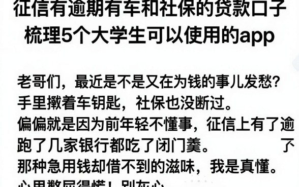 征信有逾期有车和社保的贷款口子，梳理5个大学生可以使用的app