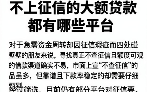 不上征信的大额贷款都有哪些平台,精选五个小额贷款不查征信的平台