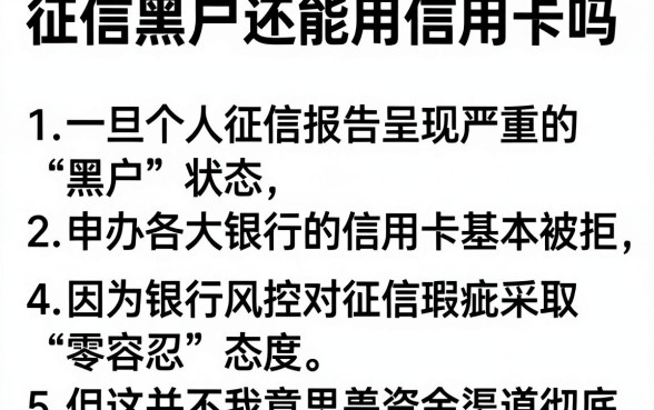 征信黑户还能用信用卡吗,详细阐述5个极速审核的网贷平台