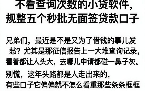 不看查询次数的小贷软件,规整五个秒批无面签贷款口子