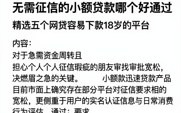 无需征信的小额贷款哪个好通过,精选五个网贷容易下款18岁的平台