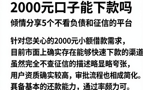 2000元口子能下款吗，倾情分享5个不看负债和征信的平台