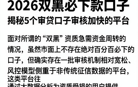 2026双黑必下款口子，揭秘5个审贷口子审核加快的平台