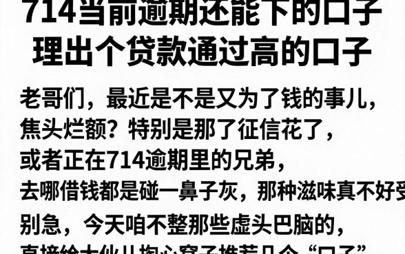 714当前逾期还能下的口子,理出五个贷款通过高的口子