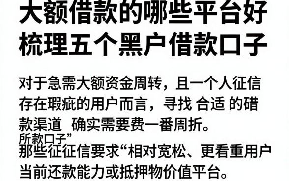 大额借款的哪些平台好,梳理五个黑户借款口子