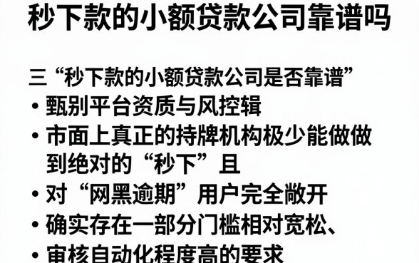 秒下款的小额贷款公司靠谱吗,甄选五个网黑逾期下款软件
