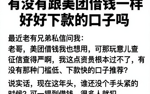 有没有跟美团借钱一样好下款的口子吗,精选五个无视黑户下款的口子