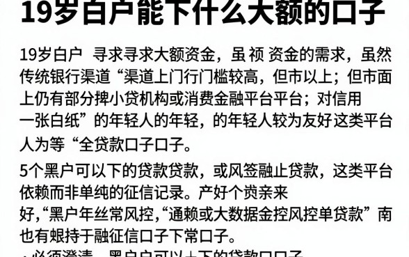 19岁白户能下什么大额的口子,详尽说明5个黑户可以下的贷款口子