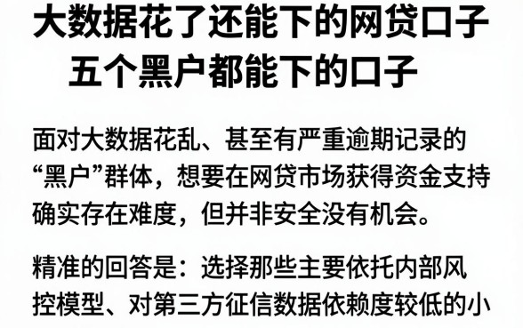 大数据花了还能下的网贷口子,详细阐述五个黑户都能下的口子