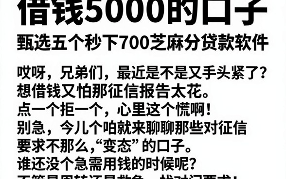 借钱5000的口子,甄选五个秒下700芝麻分贷款软件