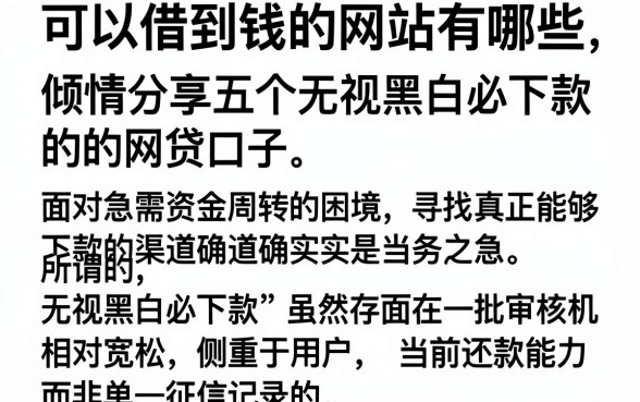 可以借到钱的网站有哪些,倾情分享五个无视黑白必下款的网贷口子