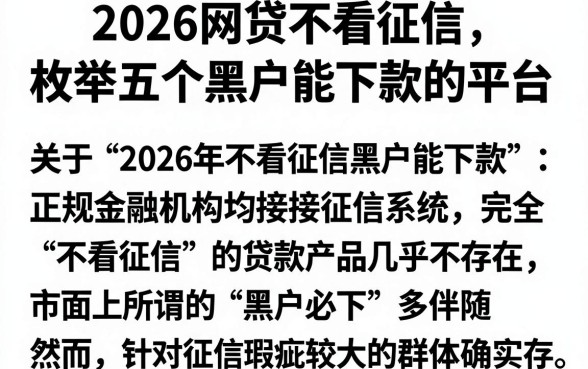 2026网贷不看征信，枚举五个黑户能下款的平台
