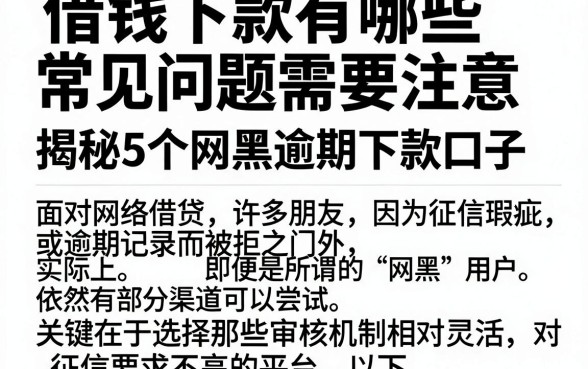 借钱下款有哪些常见问题需要注意,揭秘5个网黑逾期下款口子