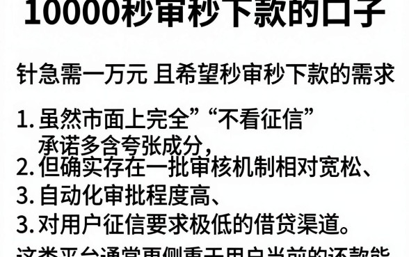 10000秒审秒下款的口子,详尽说明五个无视黑白户秒下款口子平台